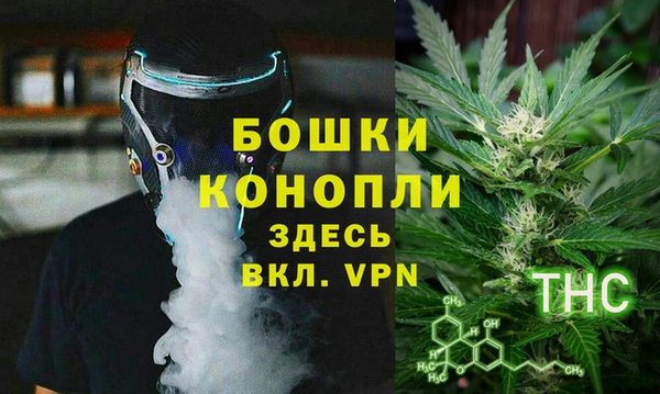 стаф Вязьма