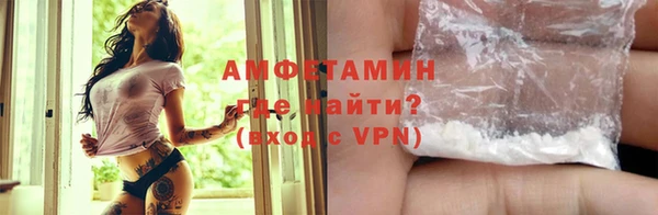 стаф Вязьма