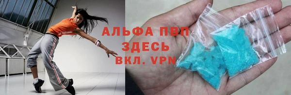 стаф Вязьма