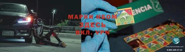 стаф Вязьма