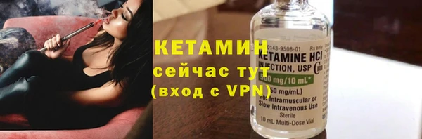 стаф Вязьма