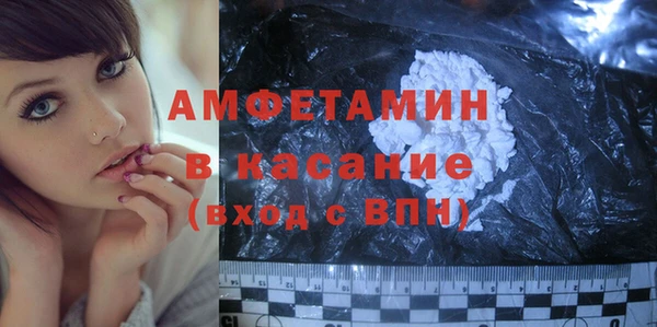 стаф Вязьма