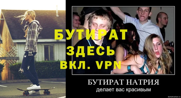 стаф Вязьма