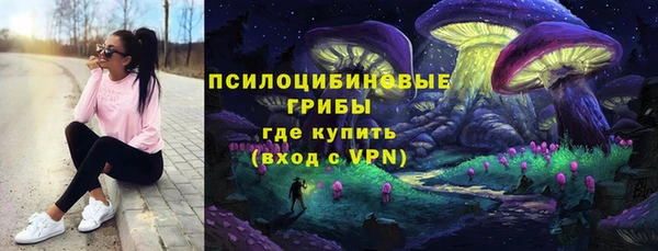 стаф Вязьма