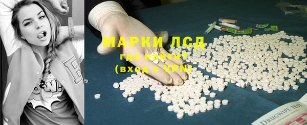 стаф Вязьма
