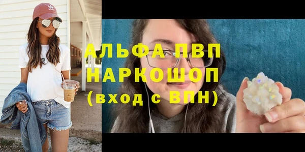 стаф Вязьма