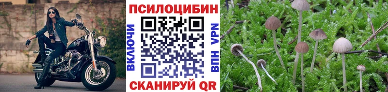 Купить где  Сурск  Галлюциногенные грибы GOLDEN TEACHER 